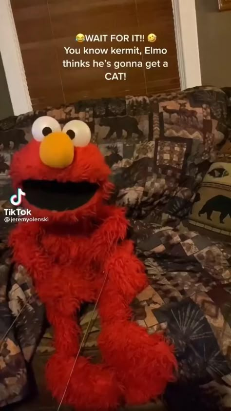 Elmo And Rocco Funny, He Protecc He Atacc Elmo, 7 Times Elmo Was A Savage, Logan Thielbert Elmo, Pickle Me Elmo, I Think Moto Moto Likes You Elmo, Elmo Quote, Elmo Memes Hilarious, Elmo Videos Funny