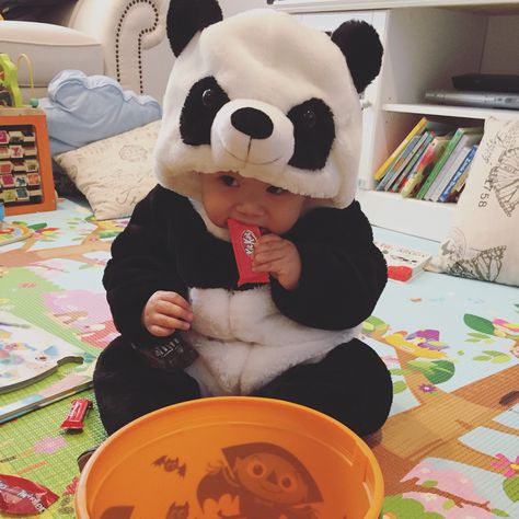 Panda Halloween Costume, Baby Animal Costumes, Panda Onesie, Panda Costumes, Baby Costume, Outfit Halloween, Animal Costumes, Panda Love