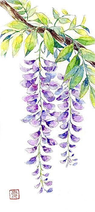 Flores Wallpaper, Tree Drawing Simple, Iphone Wallpaper Violet, Vine Drawing, Wisteria Tree, Beauty Art Drawings, Watercolor Flower Art, Watercolor Painting Techniques, Flower Art Images