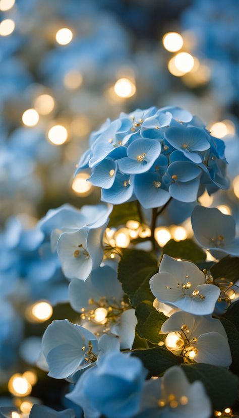 Blue and gold porcelain hydrangea - AI creation Hydrangea Wallpaper, Pretty Phone Wallpaper, Blue And Gold, Hydrangea, Phone Wallpaper, Nature Photography, Iphone Wallpaper, Porcelain, Wallpapers