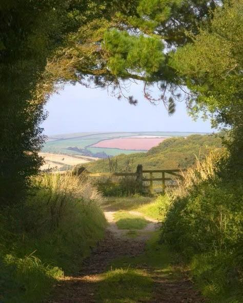 Tree Tunnel, Have Inspiration, English Countryside, Nature Aesthetic, Pretty Places, Green Aesthetic, Narnia, Country Life, Cottage Core