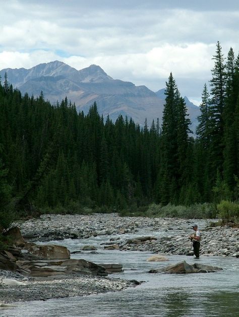 trees Fishing Aesthetic, Fly Fishing Tips, Fishing Pictures, Fishing Techniques, Mountain Stream, Gossip News, Gone Fishing, Fish Camp, Trout Fishing