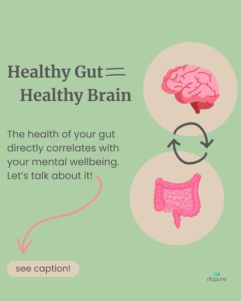 Gut Health Infographic, Gut Health Aesthetic, Gut Brain Axis, Healthy Gut Diet, Wellness Supplements, Gut Reset, Health Ads, Bruce Lipton, Health Smoothie Recipes