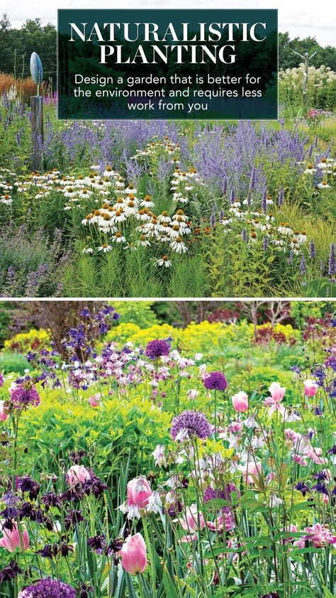 Wild Landscape Design, Wilderness Landscaping Ideas, Wildscaping Landscapes, Wild Garden Backyard, Georgia Wildflower Garden, Native Flower Garden Design, Pnw Natural Landscaping, Natural Looking Landscape Ideas, Natural Garden Design Landscaping