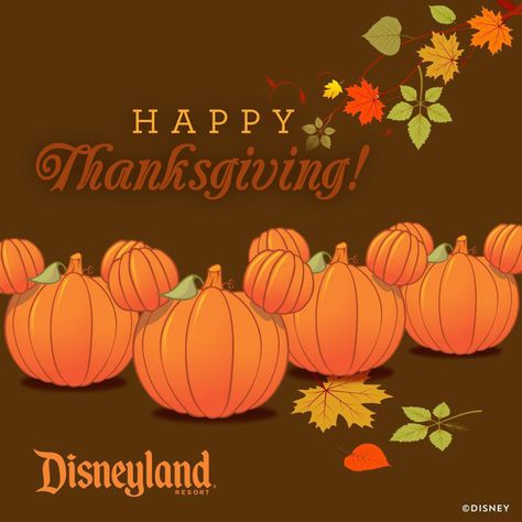 Happy Thanksgiving from the Disneyland Resort! Happy Thanksgiving Disney, Good Morning Happy Thanksgiving, Thanksgiving Disney, Happy Thanksgiving Canada, Happy Thanksgiving Wallpaper, Happy Thanksgiving Images, Sunday Pictures, Mickey Mouse Pumpkin, Thanksgiving Pictures