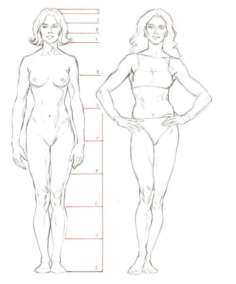 Female Anatomy Reference, Male Figure Drawing, Human Anatomy Drawing, Human Figure Drawing, Human Anatomy Art, Anatomy Sketches, Basic Drawing, Body Anatomy, Female Anatomy