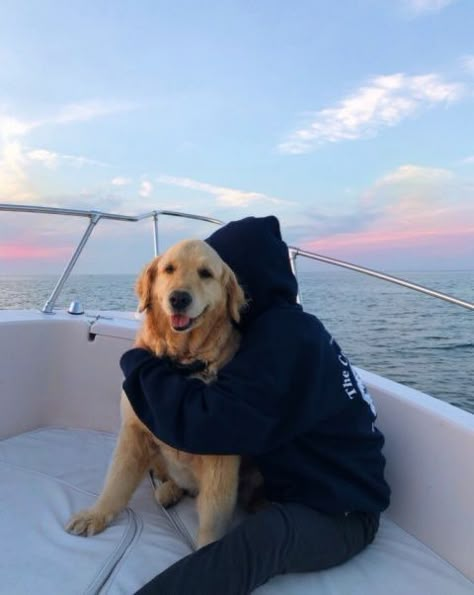 Dogs On Boats, Very Cute Dogs, Really Cute Dogs, Animals Cute, Cute Animals Images, Fluffy Animals, Animals Images, Cute Little Animals, Cuteness Overload