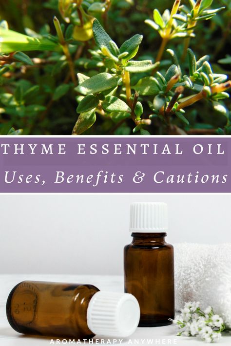 Thyme essential oil benefits, uses & cautions Thyme Essential Oil Benefits, Thyme Essential Oil Uses, Essential Oil For Bronchitis, Benefits Of Thyme, Health Benefits Of Thyme, Thyme Benefits, Healing Flowers, Thyme Essential Oil, Thyme Oil