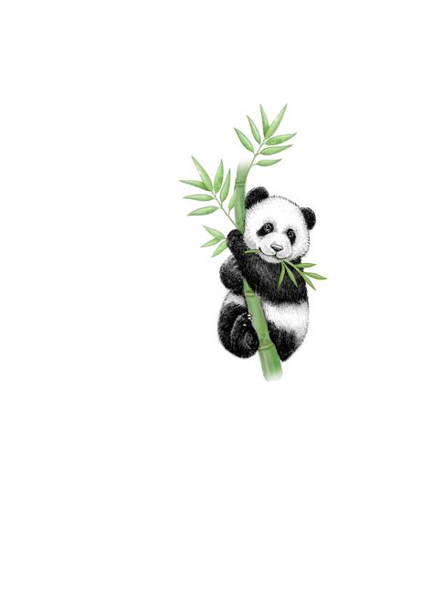 Small Panda Tattoo, Panda Tattoo Design, Panda Tattoo, Bamboo Tattoo, Dragon Tattoo, Mini Tattoos, Animal Tattoos, Watercolor Tattoo, Art Tattoo