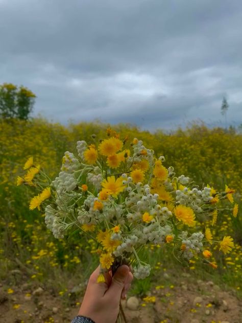 Dandelion Aesthetic Yellow, Yellow Dandelion Aesthetic, Weeds Aesthetic, Yellow Spring Aesthetic, Dandelion Flower Aesthetic, Dandelions Aesthetic, Dandelion Aesthetic, Yellow Dandelion, Dandelion Yellow