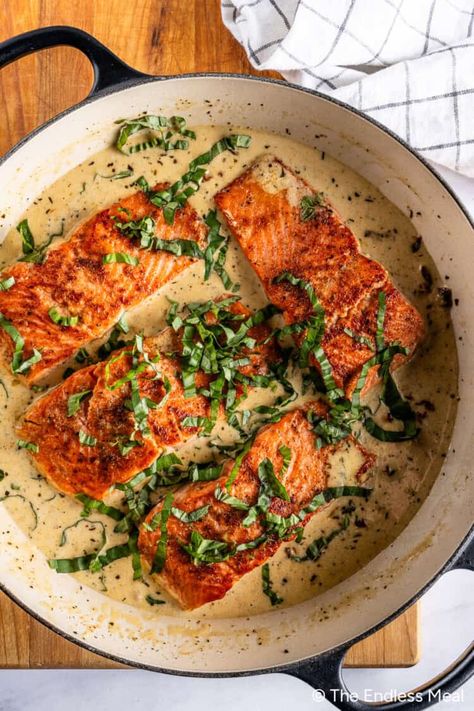 Tender, juicy salmon in a creamy sun-dried tomato garlic sauce with handfuls of fresh basil is one of the best dinners you'll ever make. I love Marry Me Salmon with pasta and a salad - it's just so good. #theendlessmeal #salmon #marrymesalmon #marrymechicken #dinner Lemon Basil Salmon, Creamy Salmon Recipes, Salmon With Pasta, Marry Me Salmon, Tomato Garlic Sauce, Best Dinners, Salmon Spaghetti, Spaghetti Dinner, Butter Pasta