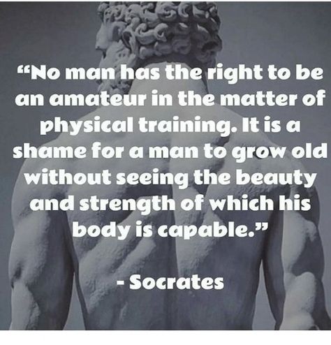 In the matter of physical training... Michelangelo Quotes, Spiritual Vision Board, Quotes Gym, Socrates Quotes, Gym Wallpaper, Words To Live By Quotes, Physical Training, Funny Text Posts, Grow Old