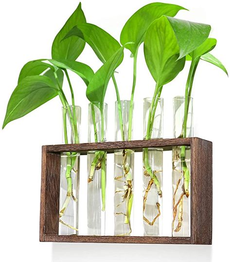 AmazonSmile: Ivolador Wall Mounted Hanging Planter Test Tube Flower Bud Vase Tabletop Glass Terrariumin Wooden Stand with 5 Test Tube Perfect for Propagating Hydroponic Plants Home Garden Wedding Decoration: Home & Kitchen Tabletop Terrarium, Hanging Glass Planters, Tanaman Air, Test Tube Vase, Bulb Vase, Plants Home, Terrarium Containers, Hydroponic Plants, Garden Wedding Decorations