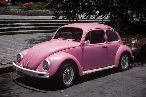 nothing like bombing around the city in my pink bug! such wonderful memories and good times! miss you my pink bug Pink Vw Bug, Pink Vw Beetle, Pink Volkswagen Beetle, Pink Beetle, Pink Truck, Pink Inspiration, Combi Volkswagen, Beetle Car, Pink Car