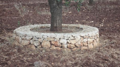 stones around tree Stone Bench Around Tree, Bench Around Trees, Tree Bench, Stone Bench, Slate Stone, Tree Rings, Big Tree, Sitting Area, Raised Beds