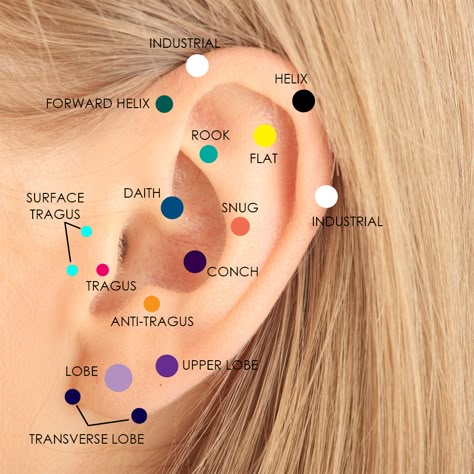 Which Cartilage Piercing Should I Get? | FreshTrends Body Jewelry Blog Ear Piercing Names, Ear Curation, Ear Peircings, Ear Piercings Chart, Piercing Chart, Double Ear Piercings, Double Cartilage Piercing, Types Of Ear Piercings, Ears Pierced