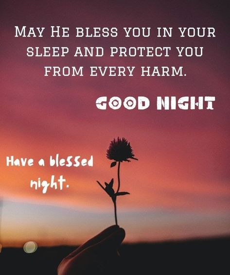 Goodnight Blessings, Good Night Blessings Quotes, Have A Blessed Night, Goodnight Quotes Inspirational, Good Night Sweetheart, Prayer Message, Night Love Quotes, Good Night Love Quotes, Good Morning Happy Sunday