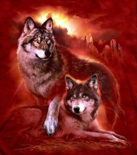 red wolf mates  alpha male protecting his mate Alpha Male Wolf, Wolf Mates, Lup Singuratic, Indian Wolf, Mystical Wolf, Wolf Eyes, Wolf Images, Wolf Artwork, Wolf Quotes