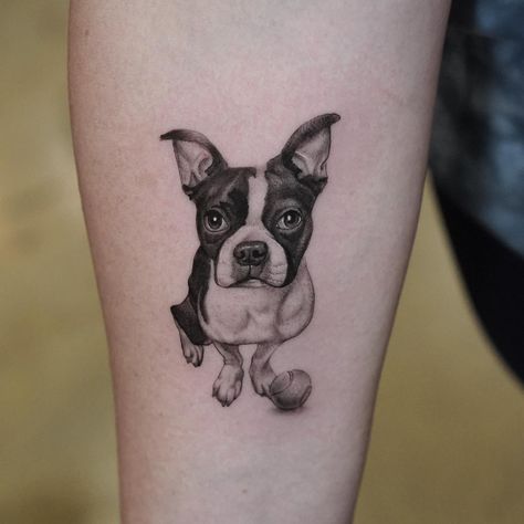 Tennis Ball Tattoo Dog, Tennis Ball Tattoo, Boston Terrier Tattoo, Terrier Tattoo, Needle Tattoo, Tattoo Portrait, Ball Tattoo, Single Needle Tattoo, Boston Terrier Dog