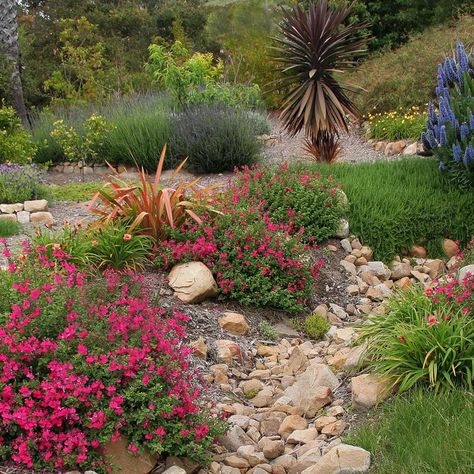 Landscaped Drainage Ditch | Houzz Ditch Landscaping, Landscape Drainage, Drainage Ditch, Dry River, Hillside Landscaping, Mediterranean Landscaping, Lawn Sprinklers, Free Plants, Easy Plants