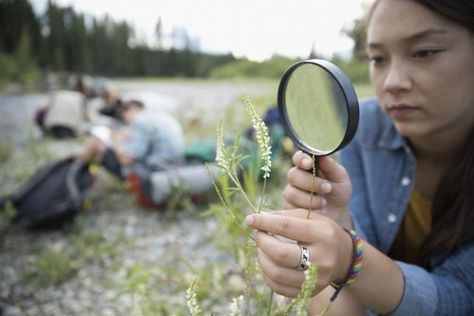 Biomimicry Toolbox — Resource — AskNature Science Fair Projects 8th Grade, Chemistry Science Fair Projects, Winning Science Fair Projects, Citizen Scientist, Butterflies Activities, Green Chemistry, Age Of Extinction, 8th Grade Science, Citizen Science