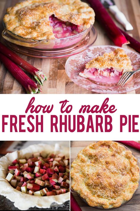 Fresh rhubarb pie, made with homemade butter pie crusts and fresh bright red rhubarb, is the best sweet and tart summer dessert! #rhubarbpie #rhubarb #pie #fresh #recipe #easy #best #filling #oldfashioned #classic #crust Easy Rhubarb Recipes, Rhubarb Pie Recipe, Rhubarb Recipes Pie, Fresh Rhubarb, Rhubarb Desserts, Strawberry Rhubarb Pie, Rhubarb Pie, Stem Challenge, Pie Crusts