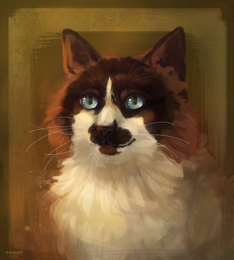 I'm bad at giving titles by iTinaArt Chiaroscuro, Cat Portraits, Cat Painting, Cat Drawing, Artsy Fartsy, Pretty Art, Animal Paintings, 그림 그리기, Cat Art