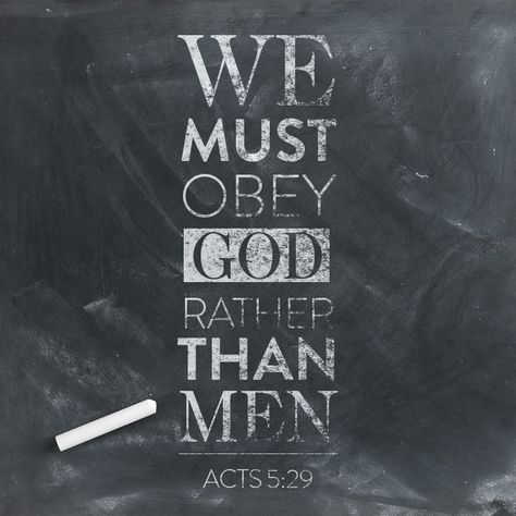 acts-5-29 Acts Bible, Obey God, Positive Quotes For Work, Bible Passages, Fear Of The Lord, Work Quotes, Verse Quotes, Bible Inspiration, Scripture Verses