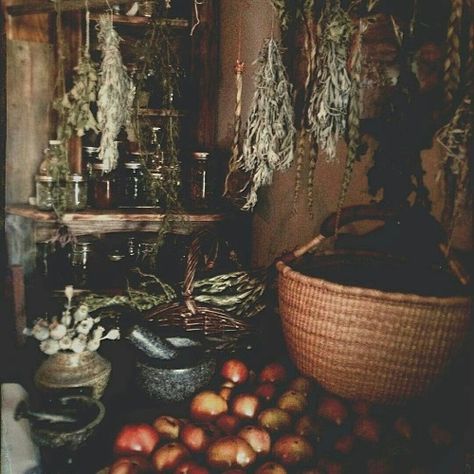 Mags Green Witch Aesthetic, Hawke Dragon Age, Witchy Kitchen, Cottage Witch, Witch Cottage, Aesthetic Kitchen, Hedge Witch, Dark Cottagecore, Witch House