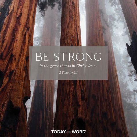 Remaining Strong in Grace | Today in the Word Sinner Saved By Grace, Be Strong In The Lord, Strong In The Lord, Grow In Grace, King Solomon, Gods Girl, Scripture Pictures, 2 Timothy, Saved By Grace