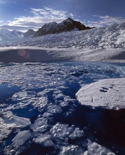 Melt from Alaska's Columbia Glacier and other glaciers around the world contributed as much to global sea rise as the Greenland and Antarctic ice sheets | Daily Camera Melting Glaciers, Ice Sheet, Sea Level Rise, University Of Colorado, Green Earth, Landscape Scenery, Environmental Issues, Sea Level, Awe Inspiring