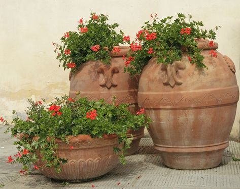 Front Porch Flower Pots, Italian Flowers, Front Porch Flowers, Tuscan Garden, Porch Flowers, Geranium Flower, Indoor Outdoor Planter, Italian Garden, Terracotta Planter