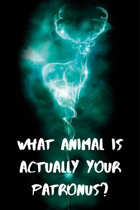 What Is Your Patronus Quiz, My Patronus Is, Harry Potter Patronus Art, Patronus Ideas, Harry Potter Patronus Quiz, Patronus Animals, Wolf Patronus, Patronus Quiz, Patronus Art