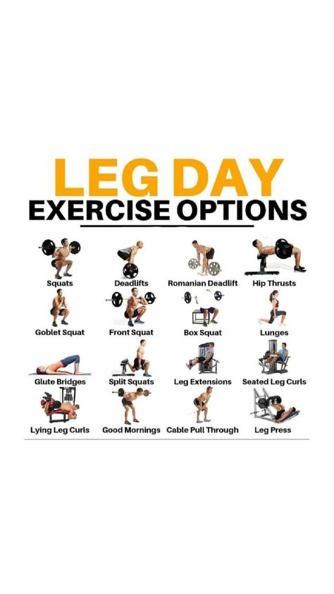 Leg day is a day in your training schedule that is dedicated to working your leg muscles. Fitness Infographic, Lying Leg Curls, Seated Leg Curl, Three Meals A Day, Fat Burning Tips, Front Squat, Leg Curl, Vegan Peanut Butter, Training Schedule