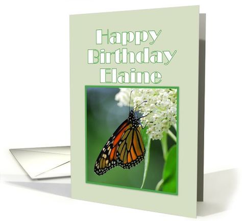 Happy Birthday Beth, Happy Birthday Vanessa, Happy Birthday Susan, Milkweed Flower, Happy Birthday Aunt, Happy Birthday Niece, Happy Birthday Grandma, Happy Birthday Woman, Coffee Gift Basket