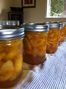 Everything is better with #Vanilla http://DavesDirtyVanilla.com  Kentucky #Bourbon Vanilla #Peaches...and Aunt Julie still won't use her pinterest.... Vanilla Peaches, Bourbon Peaches, Kentucky Food, Bourbon Recipes, Canned Food Storage, Moonshine Recipes, Urban Gardens, Wrapped Chicken, Kentucky Bourbon