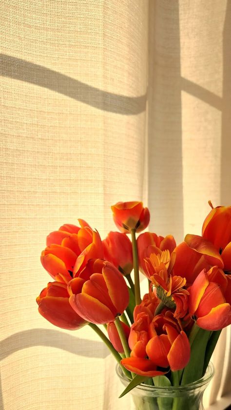 Orange Tulips Aesthetic Wallpaper, Orange Tulips Aesthetic, Orange Tulips Wallpaper, Orange Mood Board, Orange Flowers Wallpaper, Tulips Orange, Orange Tulips, Boquette Flowers, Orange Poppy