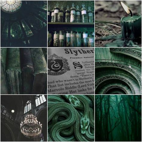 Slytherin Aesthetic Mood Board Aesthetic Slytherin, Slytherin Aesthetic, Hogwarts, Mood Board, Harry Potter, Collage, Tumblr, Green