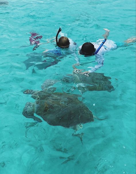 Eleuthera Bahamas, Bahamas Beach, Exuma Bahamas, Atlantis Bahamas, Bahamas Travel, Bahamas Vacation, Senior Trip, Nassau Bahamas, Summer Water