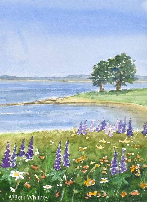 8x10 Matted Original Seascape Painting - Mt Desert Wildflowers - Summer Flowers, Maine Lupine - Ocea Scenery Watercolor, Jess Franks, Desert Wildflowers, Ocean Garden, Countryside Art, Watercolor Scenery, Nature Journaling, Watercolor Art Landscape, British Artists