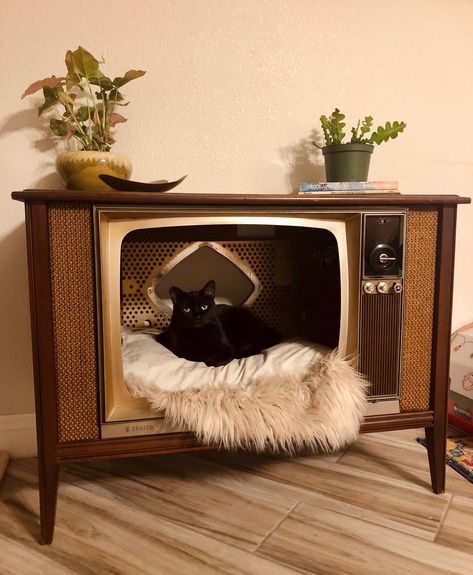 Filling Awkward Spaces Living Room, Kat Diy, Niche Chat, Pottery Plant Pot, Tv Set, The Tube, California Pottery, Vintage Tv, Cat Room