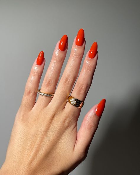 I’m loving these warm burnt shades for fall🍂 • @lightslacquer Fall 2024 collection, Home for the Harvest, launches 09.12.24! A quick shape change for Little Miss Pumpkin 🎃 It was a bit difficult for me to capture the burnt undertones on camera. It’s not as bright in person! This is my second favorite shade from this collection 🫶🏻 🍂use code KRISTIN to save (affiliate) • • • #nailinspo #naturalnails #smallbusiness #almondnails #roundnails #nailartist #nailtech #nails #nailart #cutenails #long... Orange Dress Nails, Round Nails, The Harvest, Orange Dress, Fall 2024, 2024 Collection, Little Miss, Nails Nailart, Almond Nails