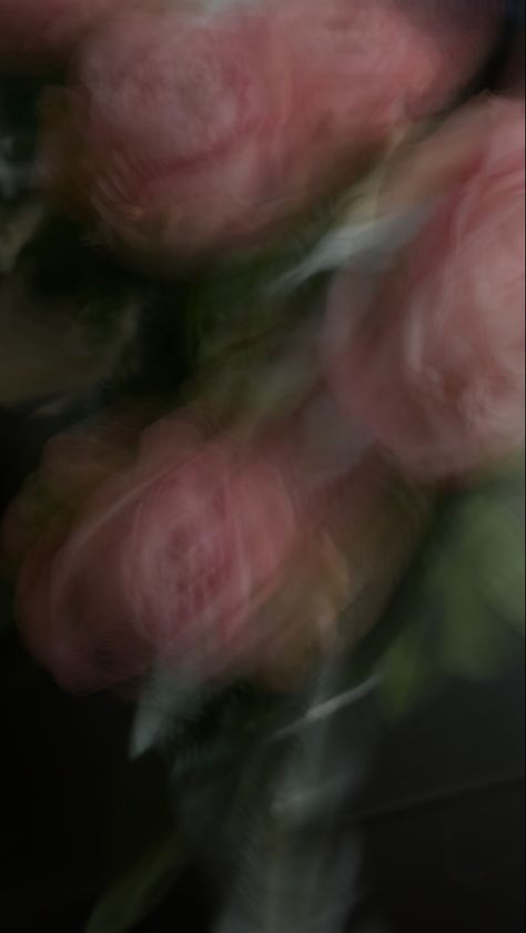 #aesthetic#flowers #rose #love Old Money Love, Rose Pic, Rose Love, Rosé Aesthetic, Aesthetic Flowers, Rose Photos, Flowers Rose, Blurred Background, Pink Background