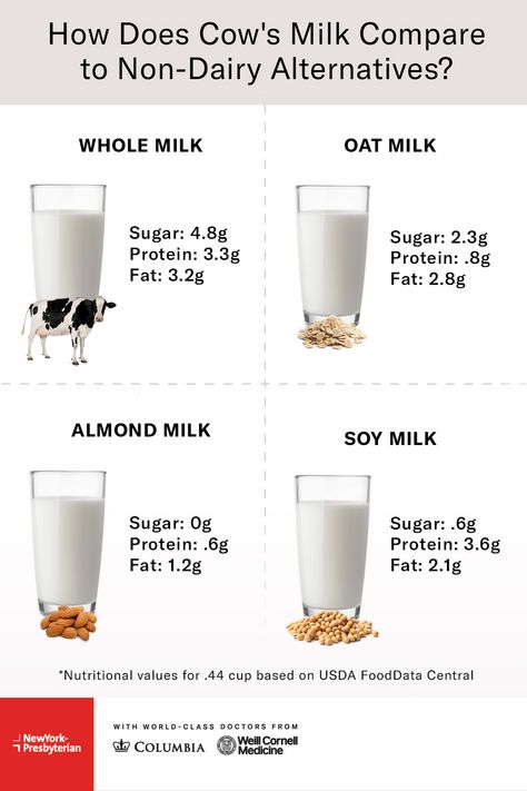 With a growing variety of milk alternatives on store shelves, how do you decide which one is right for you? An #NYP registered dietitian breaks down the differences in sugar, protein and fat in cow’s milk, almond milk, oat milk, soy milk and coconut milk. Soy Milk Benefits, Healthy 2024, Milk Benefits, Non Dairy Milk, Dairy Alternatives, Non-dairy Milk, Pasteurizing Milk, Health Hacks, Carnivore Diet