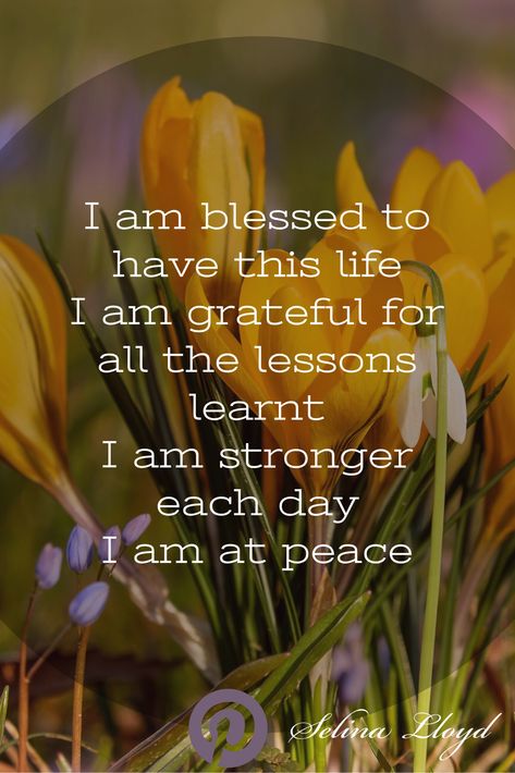 Affirmation: I am grateful and blessed to have this life Feeling Grateful Quotes I Am Blessed, I Am Blessed Affirmations, Grateful Quotes Life Positivity, Happy And Blessed Quotes, I Am Grateful For, I Am Grateful Quotes, Grateful Quotes, Live Your Dreams, Dream Future