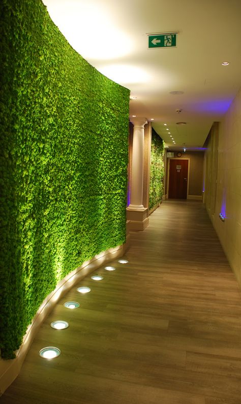 Living wall with oak wooden flooring throughout and LED spot lighting placed under wall Moss Wall With Lights, Grass Wall With Lights, Office Interiors Design, Sustainable Office Design, Furniture Bedroom Sets, Sustainable Office, Vertical Green Wall, Green Wall Design, Massage Therapy Rooms