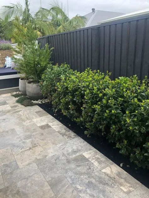 a black wooden fence with green shrubs along it are a stylish and timeless combo for a modern garden Front Garden Inspiration, Black Wooden Fence, Fence Landscaping Ideas, Tall Raised Garden Beds, Line Landscape, Budget Landscaping, Scandinavian Garden, Tropical Garden Design, Minimalist Garden