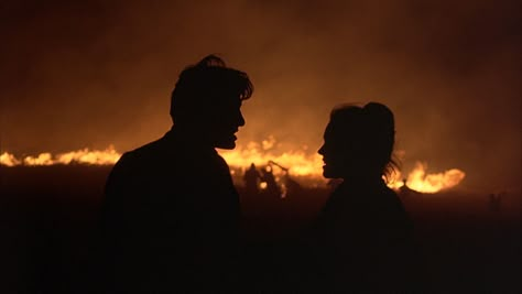 Heaven Movie, Days Of Heaven, Terrence Malick, An Ember In The Ashes, Ember In The Ashes, Werner Herzog, Ashes Series, Fritz Lang, Zodiac Academy