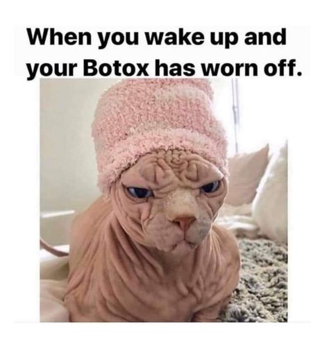 Botox Funny, Botox Quotes, Botox Before And After, Image Meme, Botox Cosmetic, Cosmetic Injectables, Creme Anti Age, Facial Aesthetics, Botox Fillers