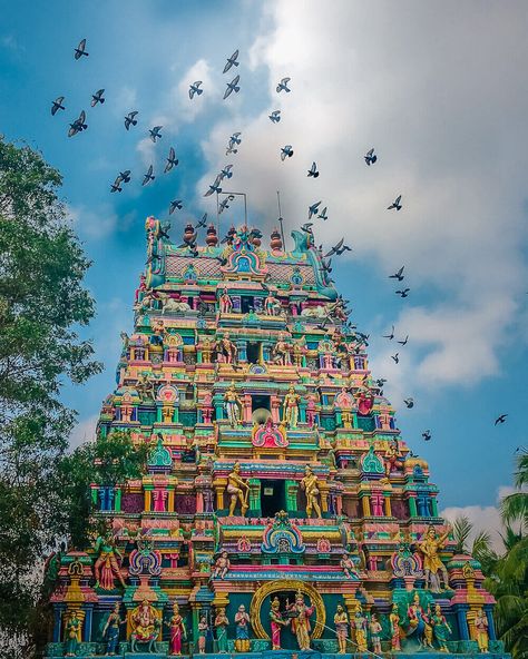 Kovil Temple Background, Devotional Wallpapers, Temple Gopuram, Architecture Facts, Old Couple Photography, Bull Pictures, Temple India, Indian Temple Architecture, Photoshop Backgrounds Backdrops